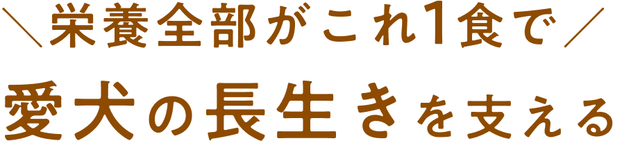 栄養全部がこれ1食で 愛犬の長生きを支える