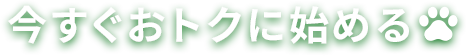今すぐおトクに始める