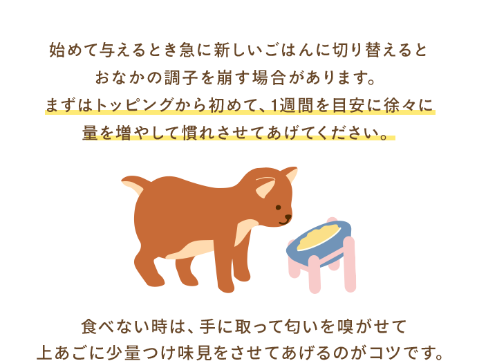 始めて与えるとき急に新しいごはんに切り替えるとおなかの調子を崩す場合があります。
